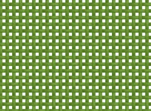 Batyline Yucca