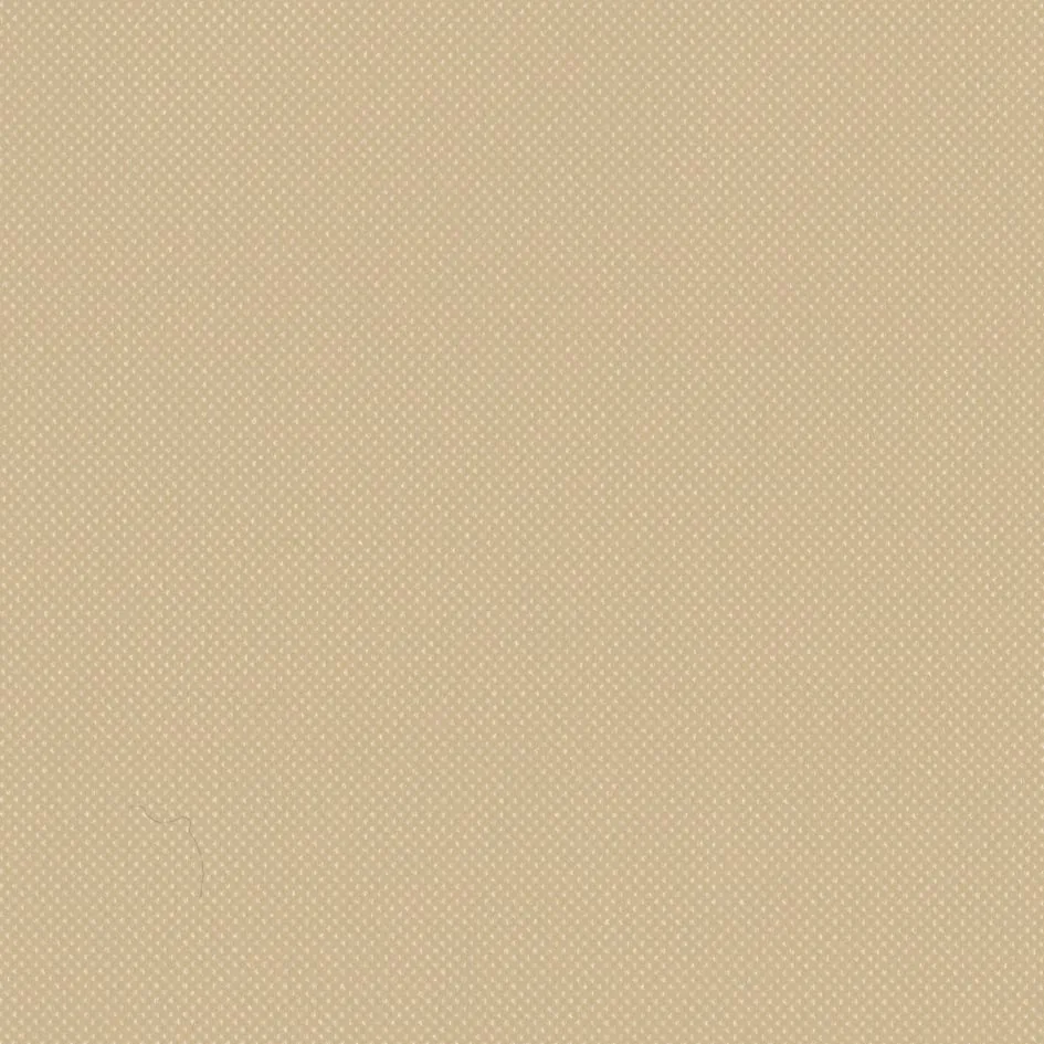 Covermaster Beige