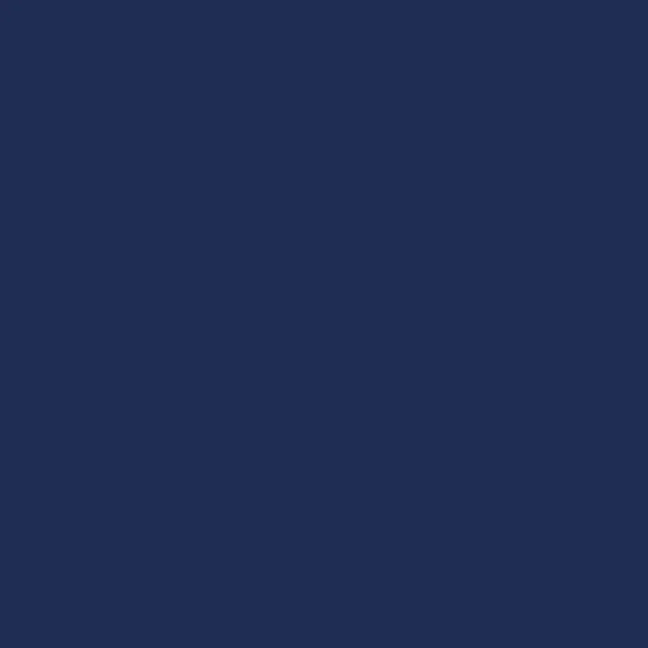 Oceanic Navy